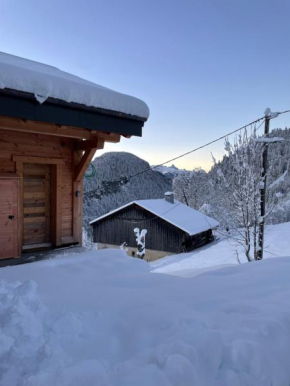 Charmant appartement sous combles, neuf Les Gets